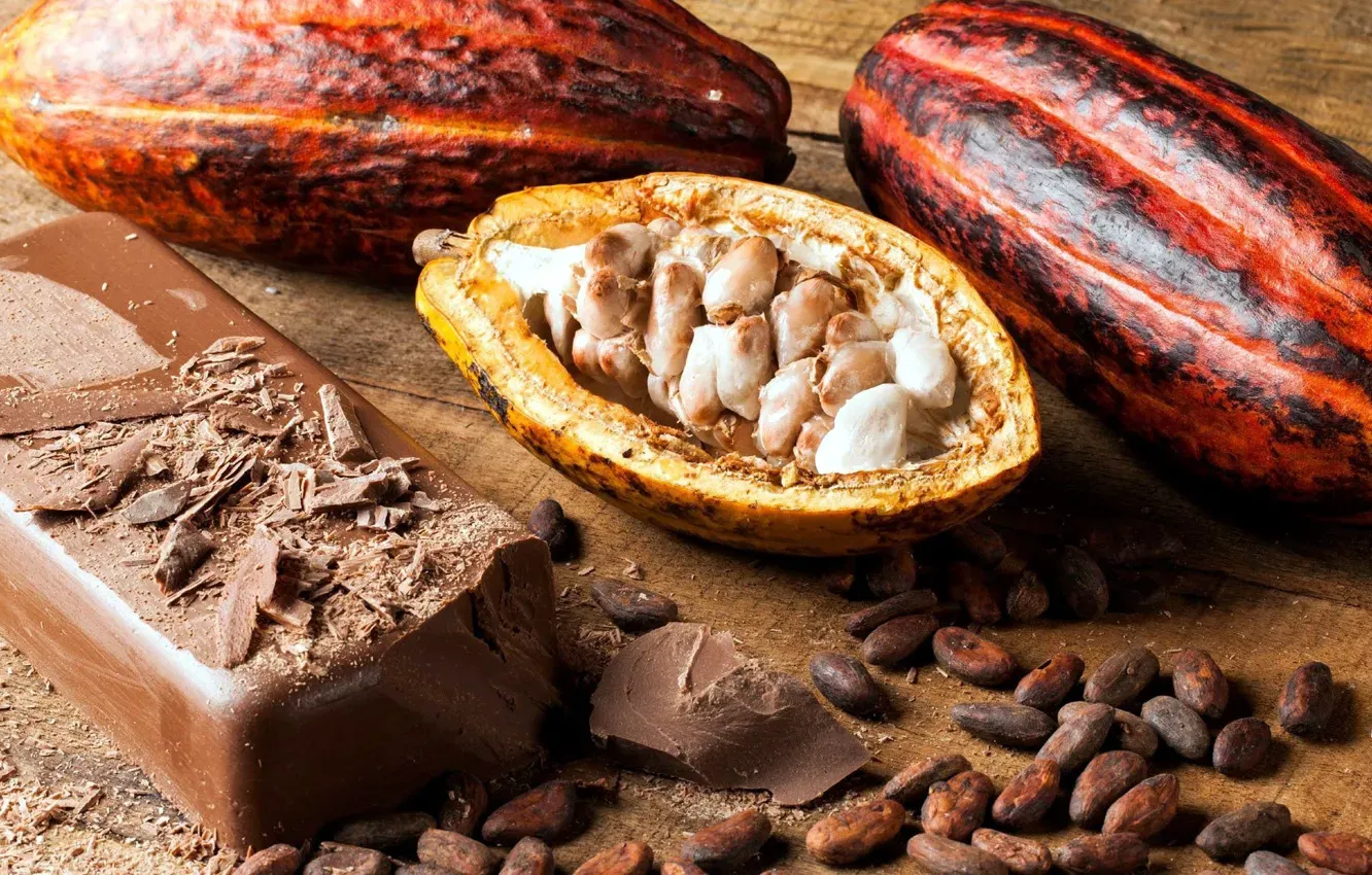 高級チョコレート製造 - カカオ豆から完成品まで - 在庫管理自動化システム導入事例